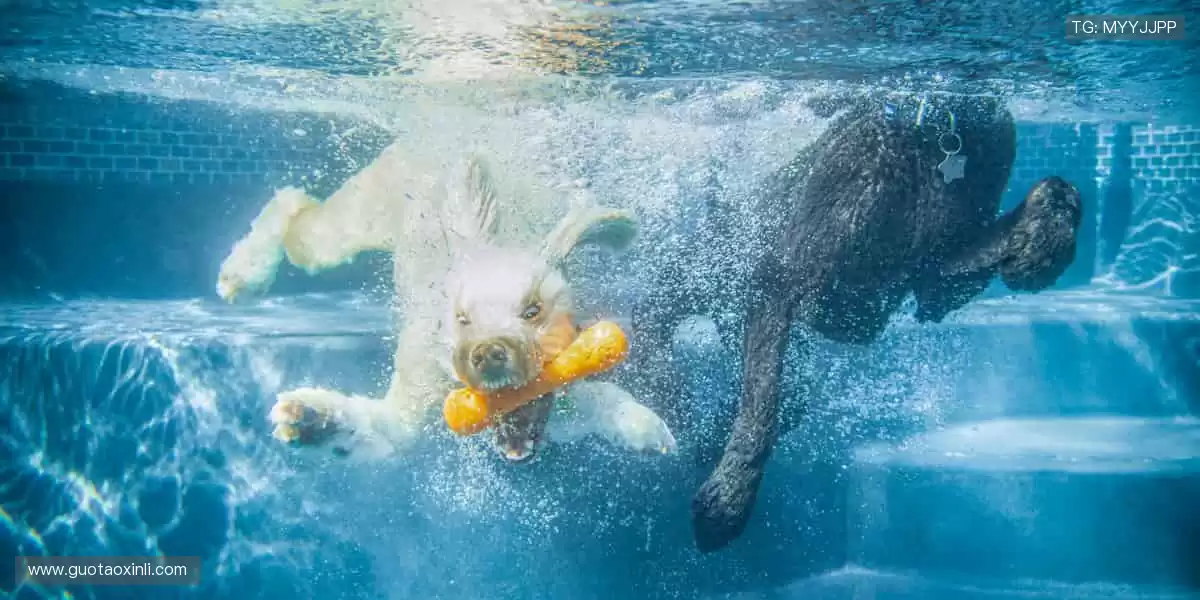 👕限量潮品，实力见证！用细节诠释你对体育的极致追求！